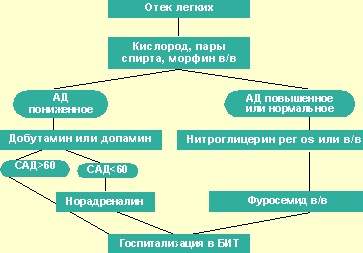 алгоритм оказания неотложной помощи на догоспитальном этапе при отеке легких