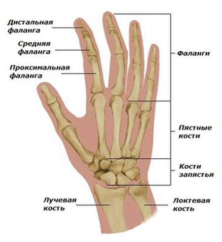 чем лечить ушиб пальца на руке у ребенка