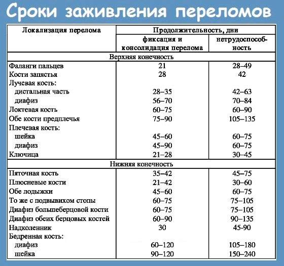 через сколько начинает срастаться кость при переломе