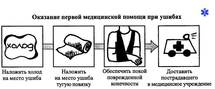 к какому врачу идти с ушибом ноги