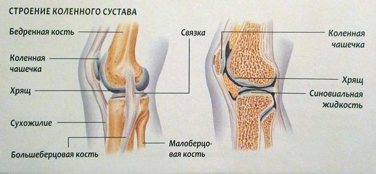 опухло и покраснело колено без ушиба и болит как лечить