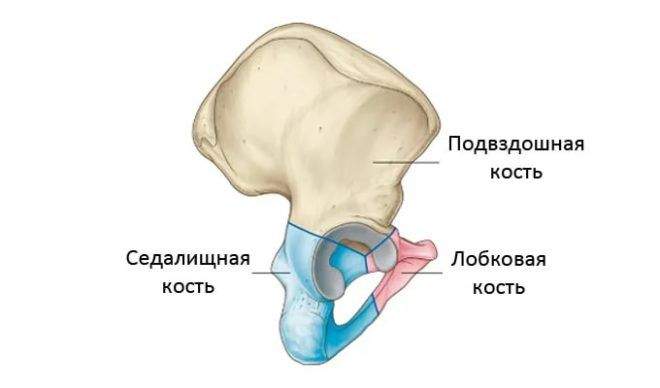 отрывной перелом передней нижней ости подвздошной кости