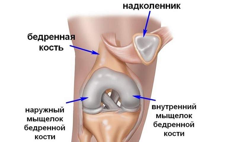 перелом коленной чашечки какой это вред здоровью