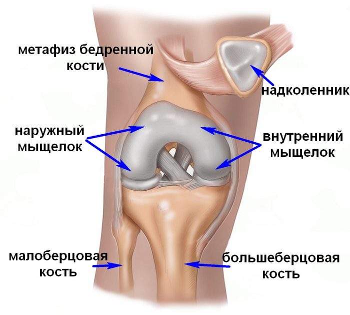 перелом мыщелка коленного сустава лечение и реабилитация