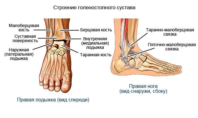 первая медицинская помощь при переломе голеностопного сустава