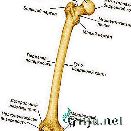 при закрытом переломе бедра необходимо попытаться определить