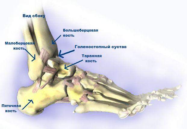 сильная боль при ходьбе после перелома лодыжки