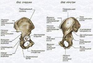 сколько держат в больнице с переломом руки