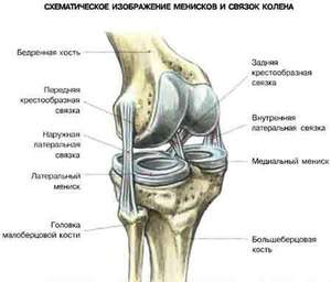 сколько ходить в гипсе при вывихе коленного сустава