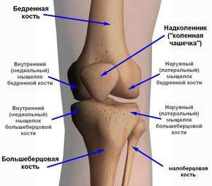 сколько ходить в гипсе при вывихе коленного сустава