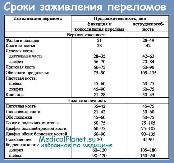 сроки образования костной мозоли при переломе лодыжки