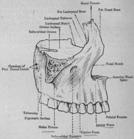 травмы и переломы верхней и нижней челюсти