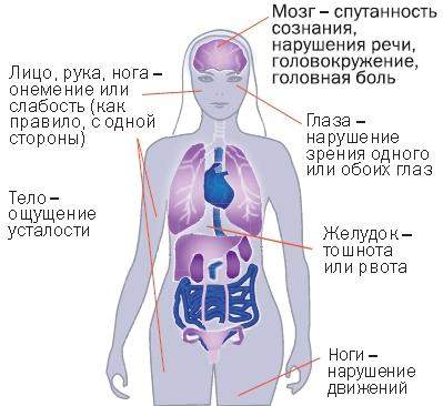 у детей с нарушением кровообращения появление отеков начинается с