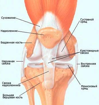 боли в коленном суставе год после ушиба