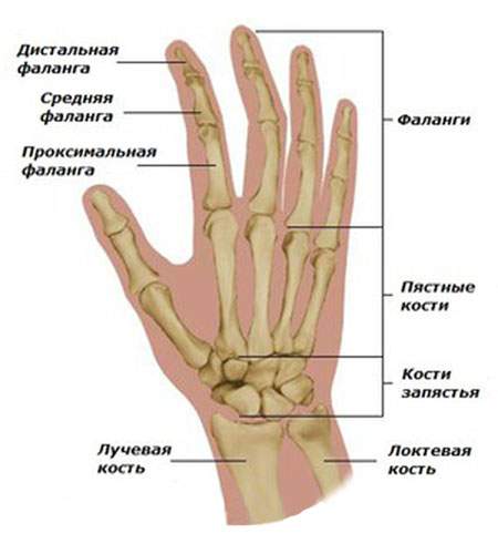 что делать при ушибе сустава большого пальца на руке