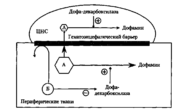 холинотропное средство для быстрого снижения ад при отеке легких