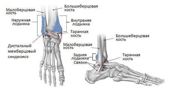 Перелом малоберцовой кости карта вызова