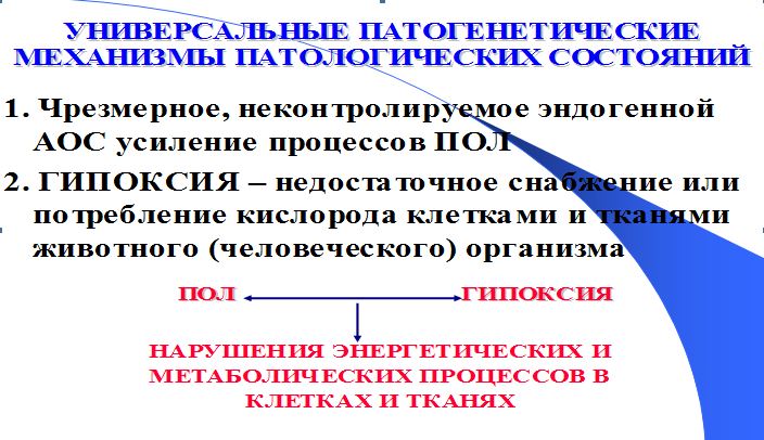 интенсивная терапия при сотрясении головного мозга ушибе