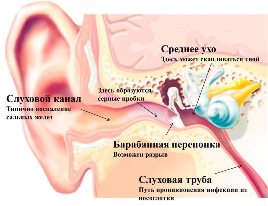 к какому врачу обратиться при переломе уха