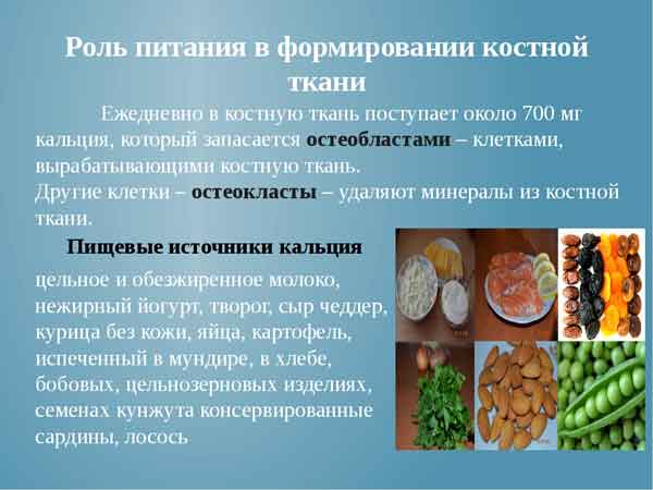 какие продукты нужно есть при переломе руки