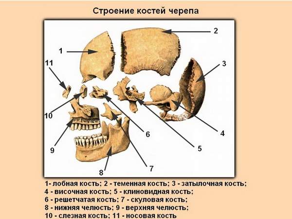 какие симптомы наблюдаются при переломе костей черепа