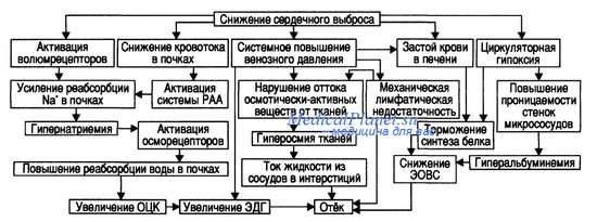 какой фактор является причинным в развитии сердечных отеков