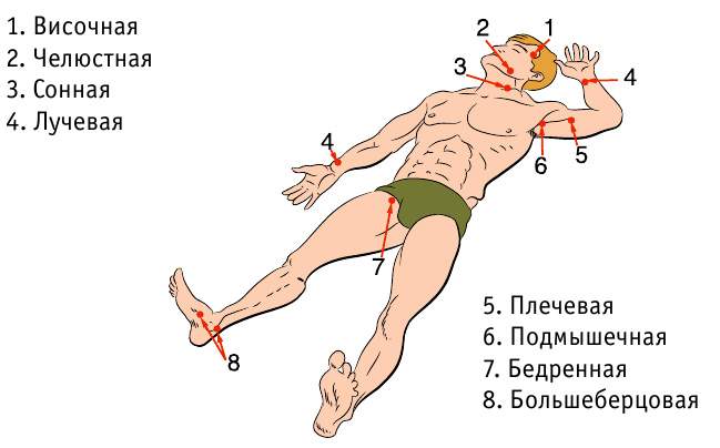 когда проводят реанимацию при переломе при кровотечении