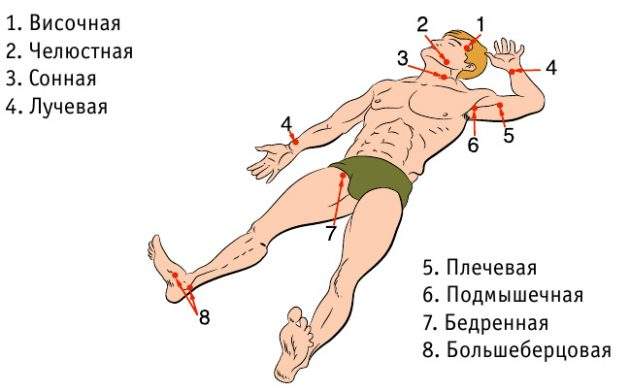 когда проводят реанимацию при переломе при кровотечении