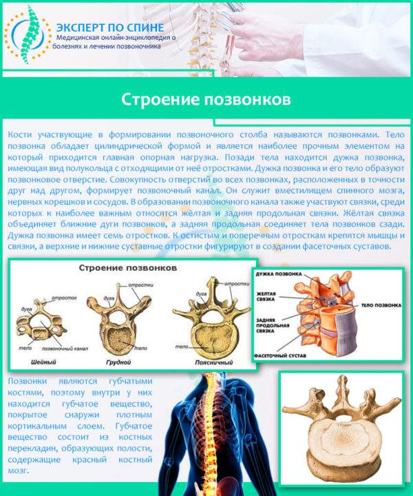 компрессионный перелом позвоночника поясничного отдела лечение последствия