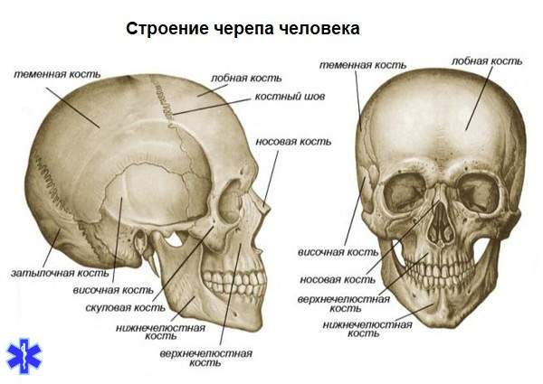 линейный перелом теменной кости у ребенка комаровский