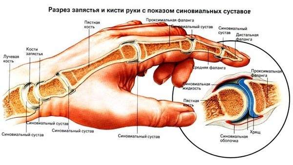 отек пальца на руке к какому врачу идти