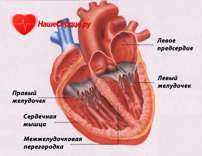 первая помощь при сердечной астме и отеке легких