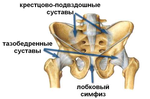 ушиб копчика при падении лечение симптомы и лечение