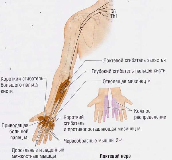 защемление нерва после перелома лучевой кости лечение