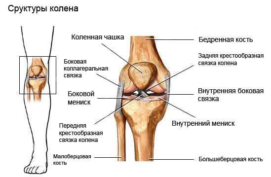 на сколько дней дают больничный при ушибе колена