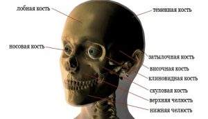 перелом скуловой кости степень тяжести вреда здоровью