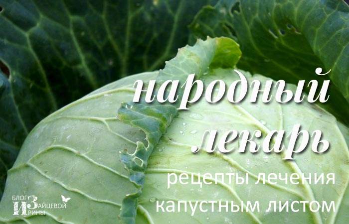 применение капустного листа в народной медицине при отеках