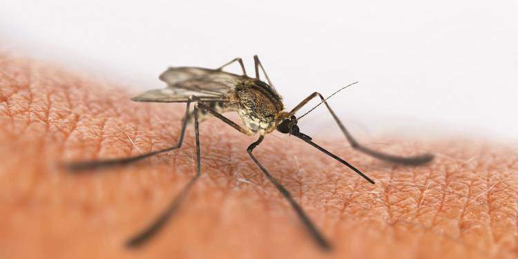 снять отек от укуса комаров у ребенка в домашних условиях