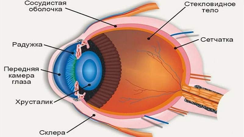 укол в глаз от отека сетчатки глаза где лучше
