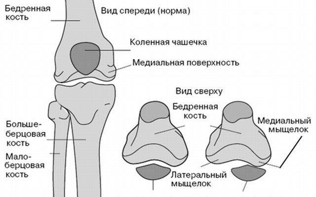 Перелом надколенника карта вызова