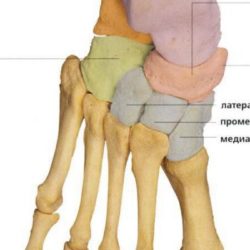 Ушиб ладьевидной кости стопы симптомы и лечение