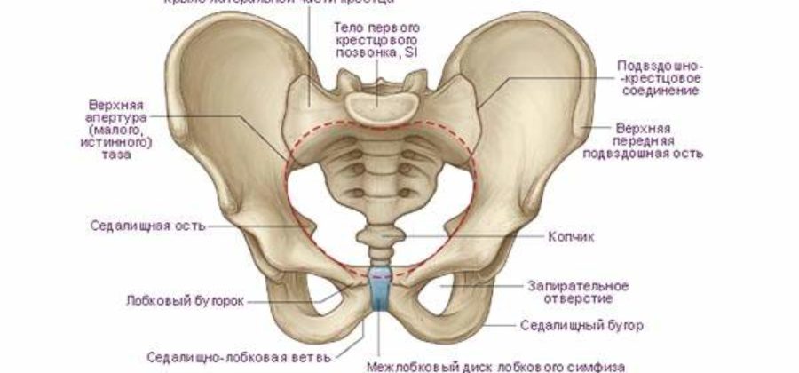 Что нужно делать при переломе тазобедренной кости?