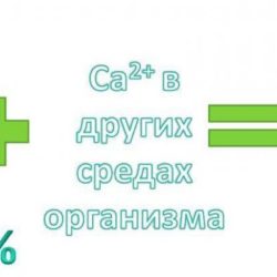 Кальций сандоз форте 1000 мг при переломах