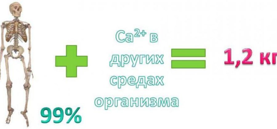 Кальций сандоз форте 1000 мг при переломах