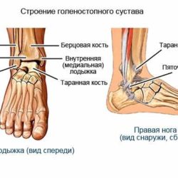 Первая медицинская помощь при переломе голеностопного сустава