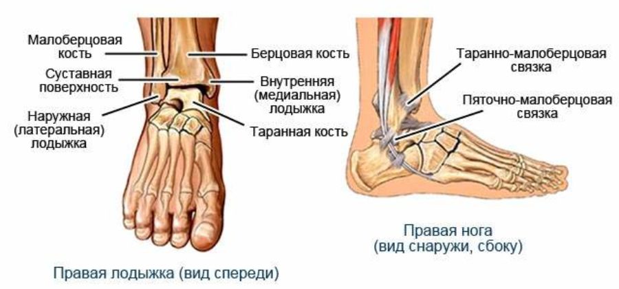 Первая медицинская помощь при переломе голеностопного сустава