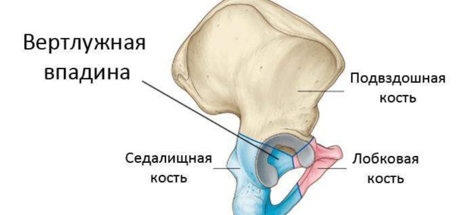 Реабилитация после перелома вертлужной впадины без смещения