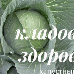 Какой стороной класть капустный лист при отеках на больное место?