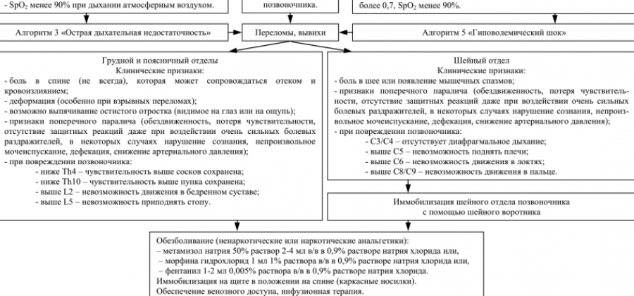 Неотложная помощь при переломе позвоночника алгоритм действий