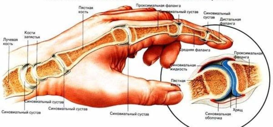 Отек пальца на руке к какому врачу идти